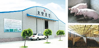 LONGKOU AGRICULTURE SICENCE AND TECHNOLOGY CO.,LTD.