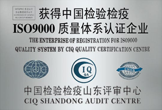 中国CIQISO9000質量体系認証企業
